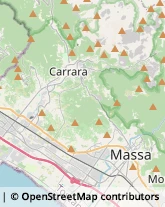 Partiti e Movimenti Politici,54100Massa-Carrara