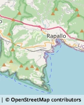 Salita Guardastelle, 8,16035Rapallo