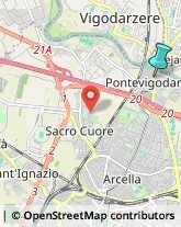 Caccia e Pesca Articoli - Dettaglio,35133Padova