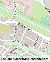 Viale Europa, 55,58100Grosseto