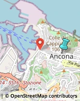 Notai,60122Ancona