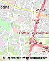 Via Silicella, 109,00169Roma