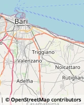 Via Luigi Zuppetta, 7/E,70121Bari