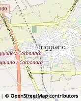 Via San Pietro, 4,70019Triggiano