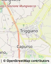 Via Benvenuto Cellini, 14,70019Triggiano