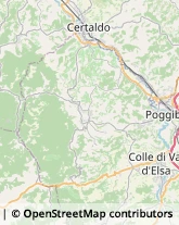 Località San Donato, ,53037San Gimignano