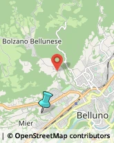 Scuole Pubbliche,32100Belluno