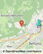 Scuole Pubbliche,32100Belluno