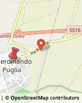 Via Centimolo, 126,76017San Ferdinando di Puglia