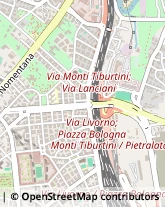 Ragionieri e Periti Commerciali - Studi,00162Roma