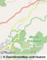 Via Monte Ortobene, 3,08100Nuoro