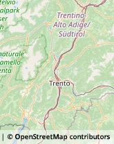 Trasporti Refrigerati,38060Trento