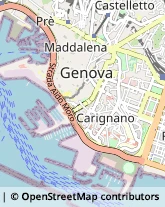 Via Eugenia Ravasco, 10,16128Genova