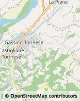 Via Milano, 5,10090Gassino Torinese