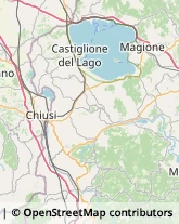 Via Vittorio Emanuele, 50,06061Castiglione del Lago