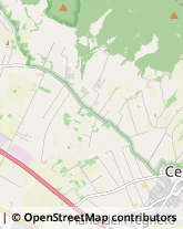 via Quarto del Boschetto, 15,00052Cerveteri