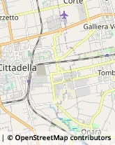 Borgo Padova, 9,35013Cittadella