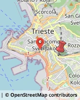 Strada di Fiume, 34/A,34137Trieste