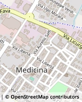 Piazza Giuseppe Garibaldi, 37/38,40059Medicina