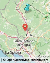 Aziende Sanitarie Locali (ASL),54023Massa-Carrara