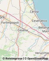 Otorinolaringoiatria - Medici Specialisti,47042Forlì-Cesena