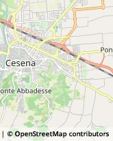 Corso Gastone Sozzi, 74,47039Cesena