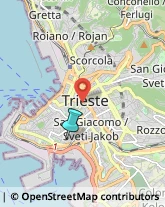 Associazioni Culturali, Artistiche e Ricreative,34143Trieste