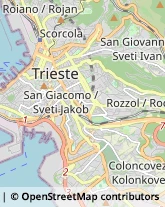 Via di Torre Bianca, 12,34132Trieste