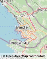 Miele,34149Trieste