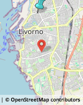 Comuni e Servizi Comunali,57122Livorno