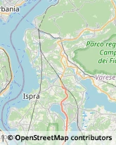 Autotrasporti,21038Varese