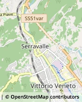 Assicurazioni,31029Treviso