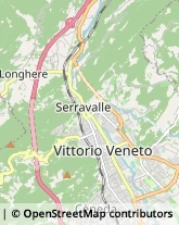 Assicurazioni,31029Treviso