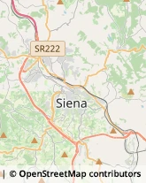 Relazioni Pubbliche,53100Siena