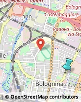 Campeggi, Villaggi Turistici e Ostelli,40128Bologna