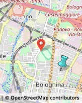 Campeggi, Villaggi Turistici e Ostelli,40128Bologna