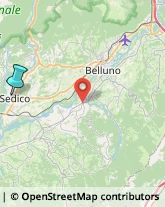 Imprese di Pulizia,32036Belluno