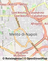 Studi Medici Generici,80017Napoli