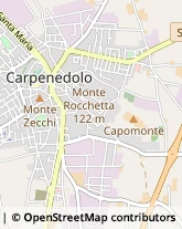 Via Solferino, 97,25013Carpenedolo