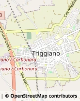 Corso Vittorio Emanuele, 226,70019Triggiano