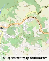 Strada della Rivetta, 2/G,05022Amelia