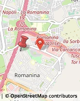 Via Vincenzo Manzini, 123,00173Roma