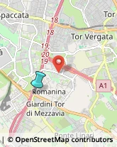 Campeggi, Villaggi Turistici e Ostelli,00175Roma