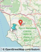 Agenzie di Animazione e Spettacolo,84076Salerno