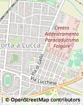 Largo S. Arieti, 9/10,56123Pisa