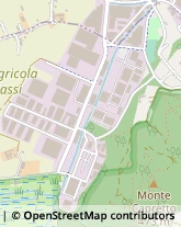 Viale Enrico Fermi, 12,10051Avigliana