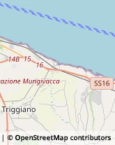 Campeggi, Villaggi Turistici e Ostelli,70016Bari