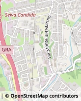 Via del Podere di San Giusto, 30/A,00166Roma