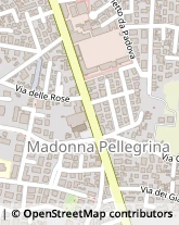 Via Guglielmo Compagno, 10,35124Padova