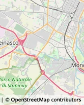 Strada del Portone, 171,10095Grugliasco